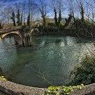 Bridge over the river